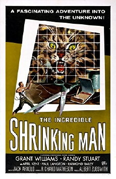 The Incredible Shrinking Man (1957) - Stream Online