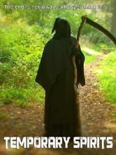 Temporary Spirits (2011) - Stream Online