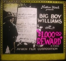 $1,000 Reward (1923) - Stream Online