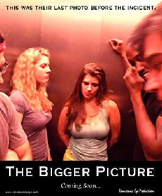 The Bigger Picture (2015) - Stream Online