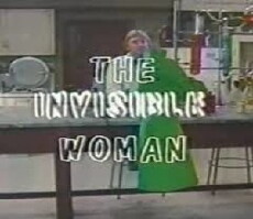 The Invisible Woman (1983) - Stream Online