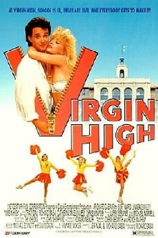 Virgin High (1991) - Stream Online