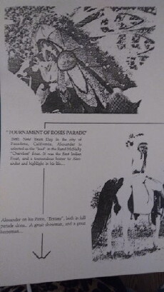 91st Tournament of Roses Parade (1980) - Stream Online