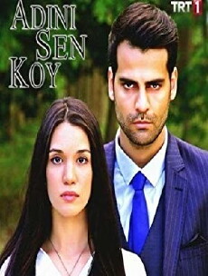 Adini sen koy (2016) - Stream Online