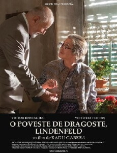 A Love Story, Lindenfeld (2014) - Stream Online