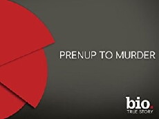 Prenup to Murder (2013) - Stream Online