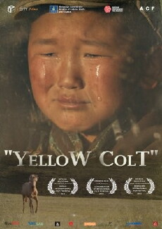 Yellow Colt (2013) - Stream Online