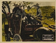 The Call of Courage (1925) - Stream Online