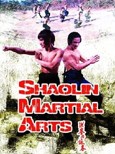 Shaolin Martial Arts (1974) - Stream Online