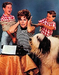 Please Don't Eat the Daisies (1965) - Stream Online