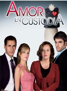 Amor en custodia (2009) - Stream Online