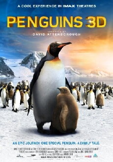 Penguins (2012) - Stream Online