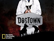 Dogtown (2006) - Stream Online