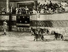 Bar Kochba, the Hero of a Nation (1913) - Stream Online