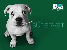The Supervet (2014) - Stream Online