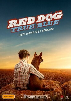 Red Dog: True Blue (2016) - Stream Online
