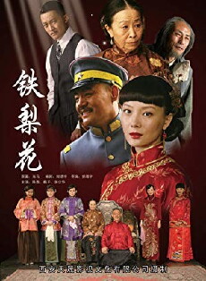 Tie Li Hua (2010) - Stream Online