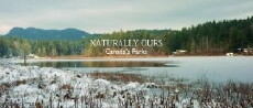 Naturally Ours (2017) - Stream Online