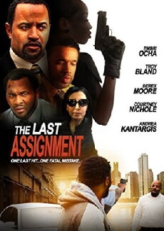 The Last Assignment (2014) - Stream Online