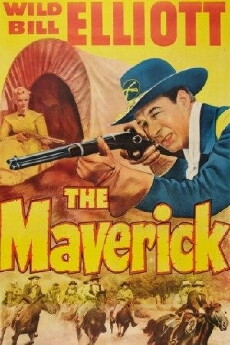 The Maverick (1952) - Stream Online