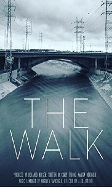 The Walk (2017) - Stream Online