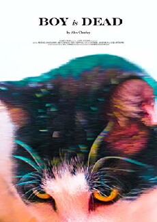 Boy is Dead (2020) - Stream Online