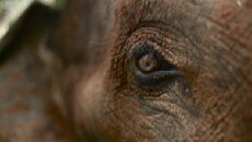 Nature Shock (2008) - Stream Online