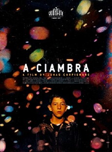 The Ciambra (2017) - Stream Online