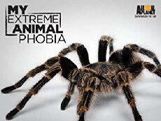 My Extreme Animal Phobia (2011) - Stream Online