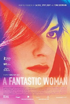 A Fantastic Woman (2017) - Stream Online