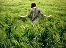 Greener Grass (2018) - Stream Online