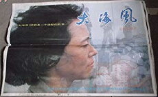 Da hai feng (1993) - Stream Online