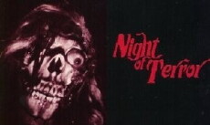 Night of Terror (1986) - Stream Online