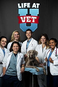 Life at Vet U (2016) - Stream Online