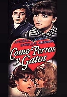Como perros y gatos (1969) - Stream Online