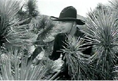 Silver on the Sage (1939) - Stream Online
