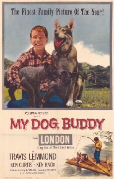 My Dog, Buddy (1960) - Stream Online