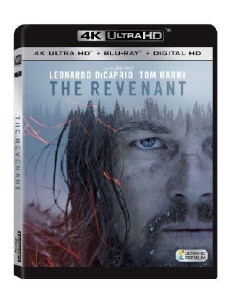 Revenant (2016) - Stream Online