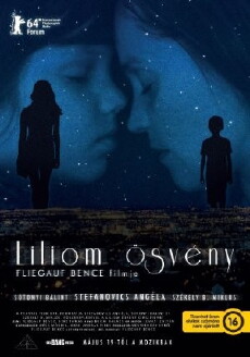 Lily Lane (2016) - Stream Online