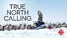 True North Calling (2017) - Stream Online