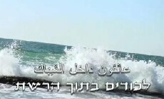 Lechudim Betoch HaReshet (2015) - Stream Online