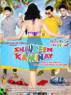 Shaukeen Kaminay (2016) - Stream Online