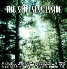 The Stillness Inside (2014) - Stream Online