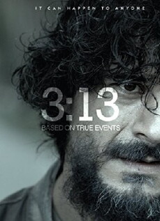 313 (2008) - Stream Online