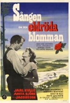 Sången om den eldröda blomman (1956) - Stream Online