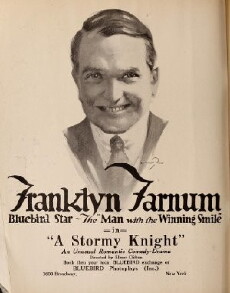 A Stormy Knight (1917) - Stream Online