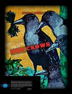 Odd Crows (2016) - Stream Online