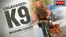 Unleashed: K-9 Broward County (2011) - Stream Online