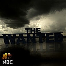 The Wanted (2009) - Stream Online