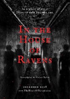 In The House of Ravens (2018) - Stream Online
